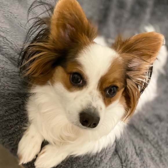 Meet your Posher, Katelyn - Picture 1 of 1